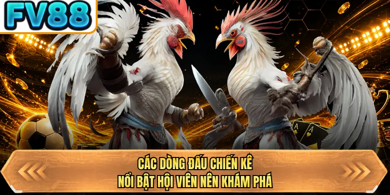 cac dong dau chien ke noi bat hoi vien nen kham pha
