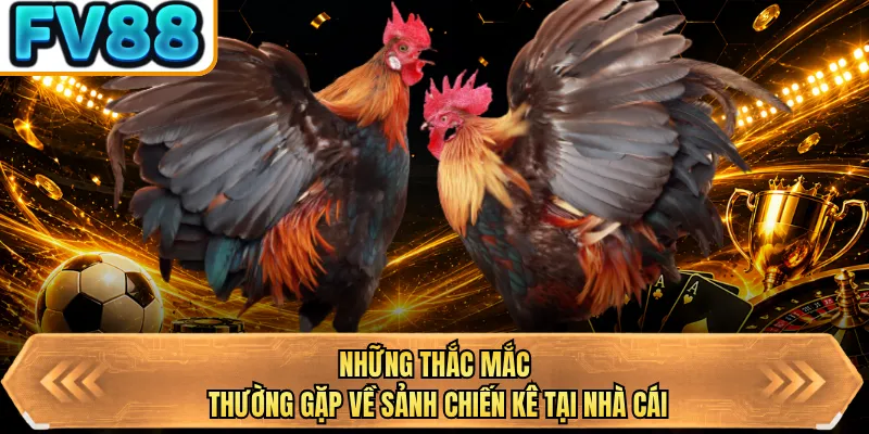 nhung thac mac thuong gap ve sanh chien ke tai nha cai